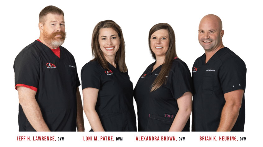 The Bootheel clinic team